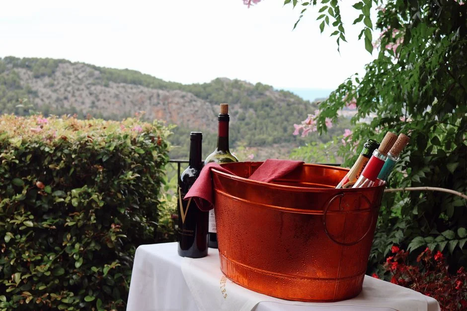 Under Counter Wine Cooler Guide: Top Picks Compared