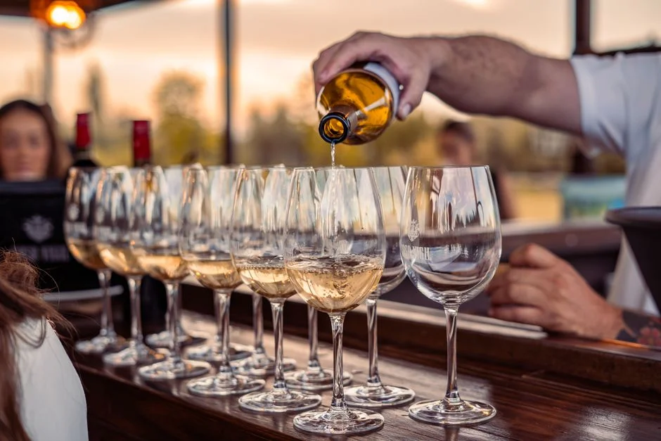 Plastic Stemless Wine Glasses Guide: Top Picks