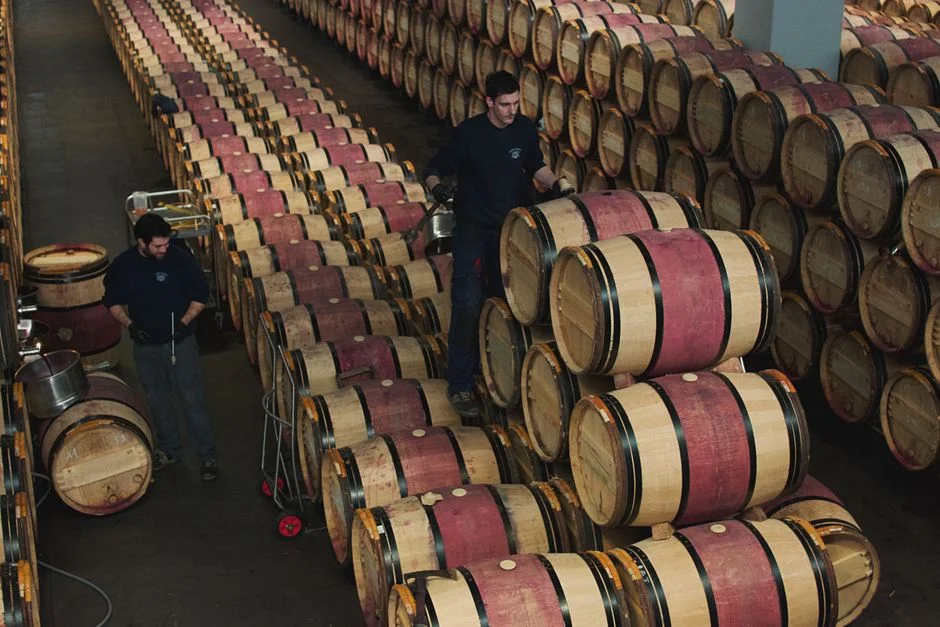 Wine Vacuum Pump Buyer's Guide: Preserve Open Bottles